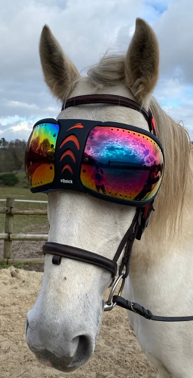 Lunettes cheval eVysor eQuick 100% anti-UV - rainbow mirror