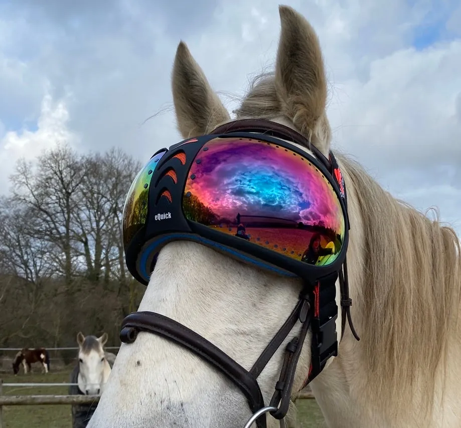 Lunettes cheval eVysor eQuick 100% anti-UV - rainbow mirror