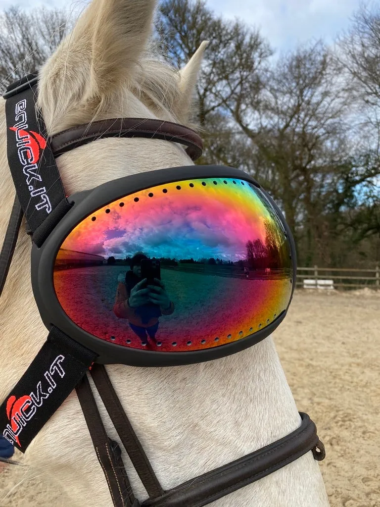 Lunettes cheval eVysor eQuick 100% anti-UV - rainbow mirror