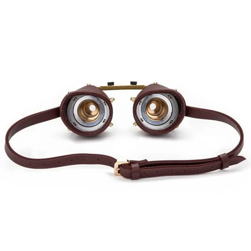 Lunettes Steampunk  Dr Frankenstein